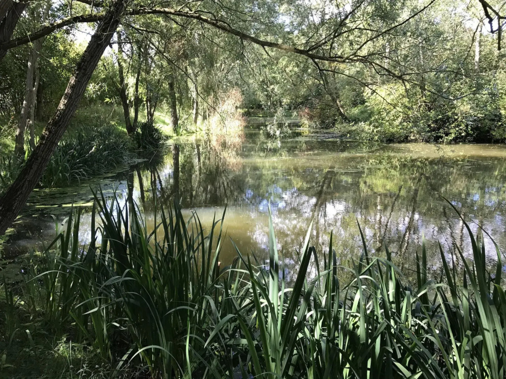 Catthorpe Manor Estate