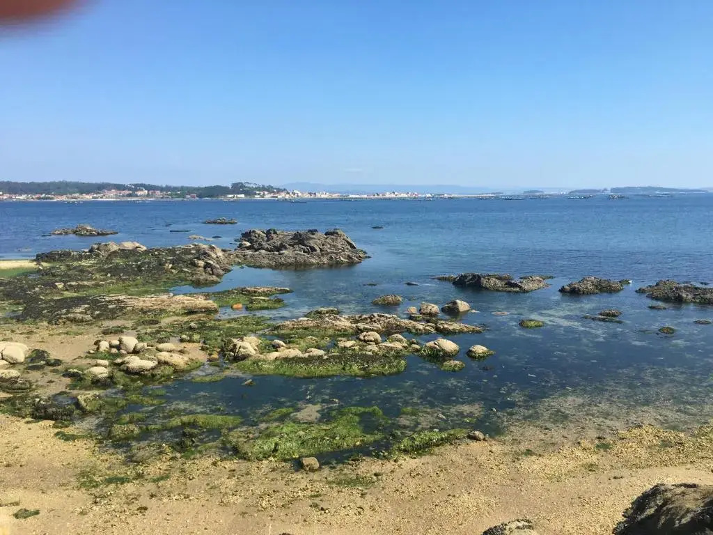 Alda Barraña Playa