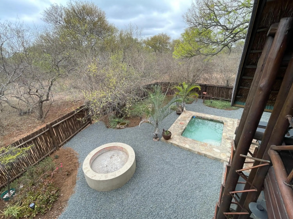 The Cheetah Rest