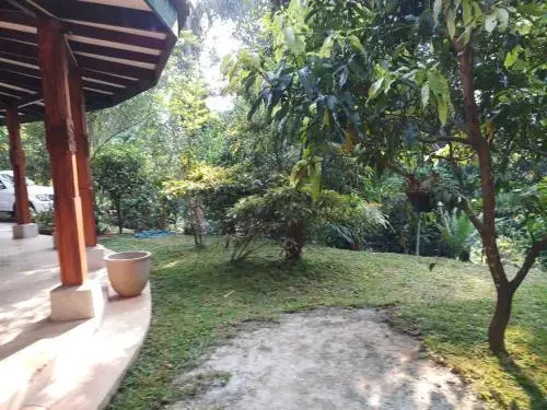 ambasewana Bungalow