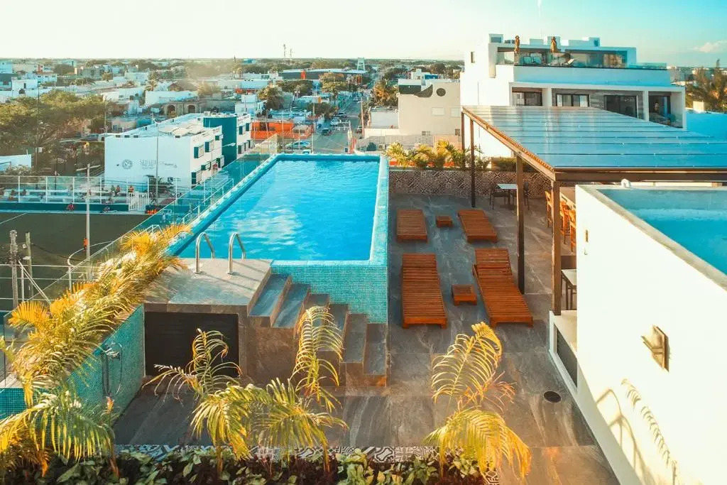 Playa 4020 Apartments with Rooftop Pool near 5th and Beach