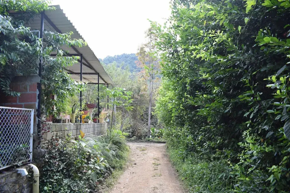 Hospedaje Los Pinos, Cabaña en Minca