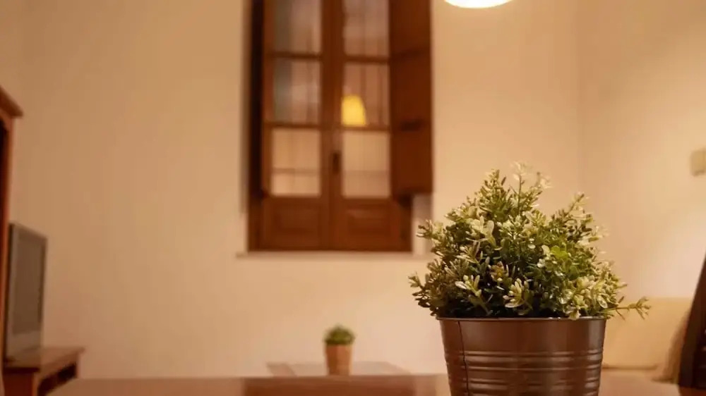 Sweet Sevilla Apartments