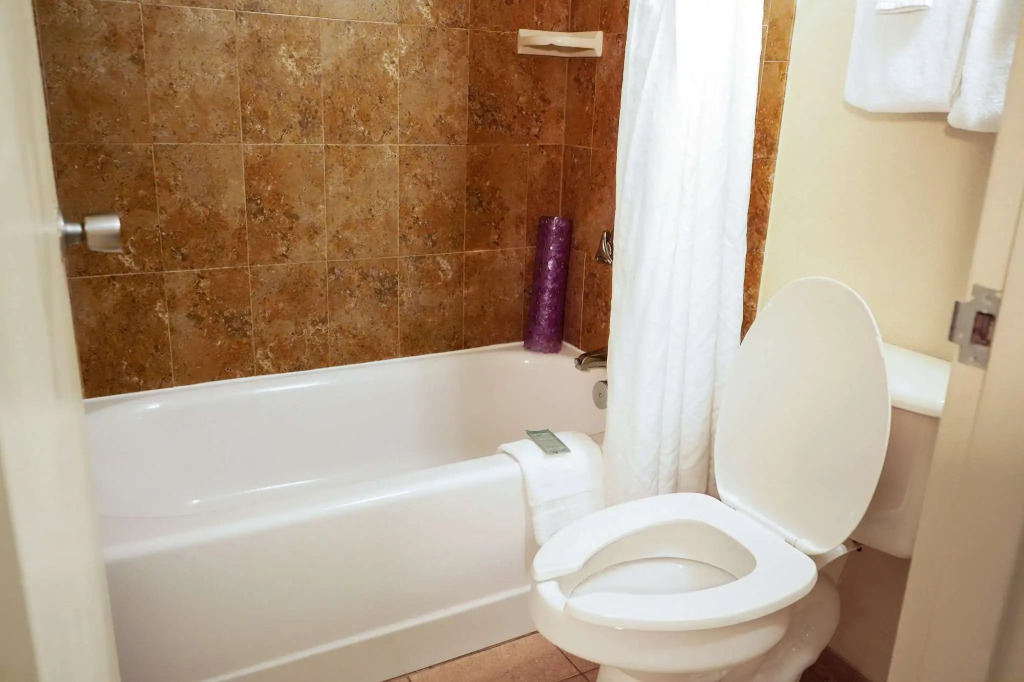 Rosen Inn International Near The Parks