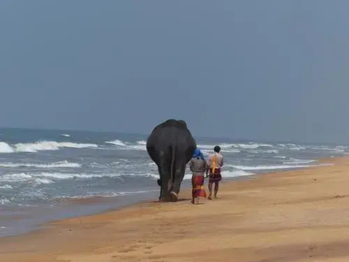 Beachhouse Wadduwa