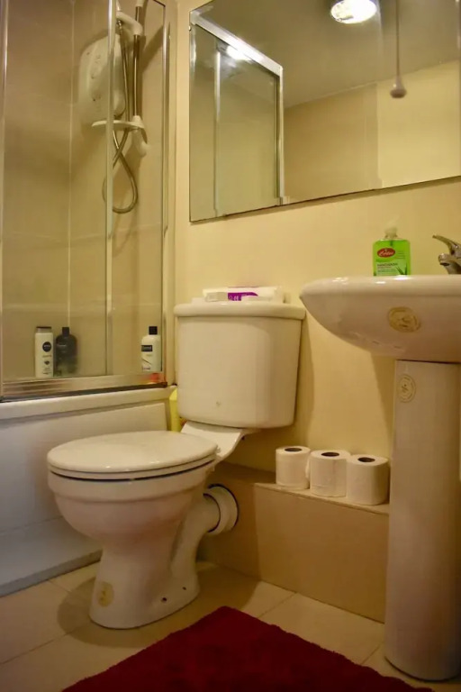 1 Bedroom Apartment in Central Dublin