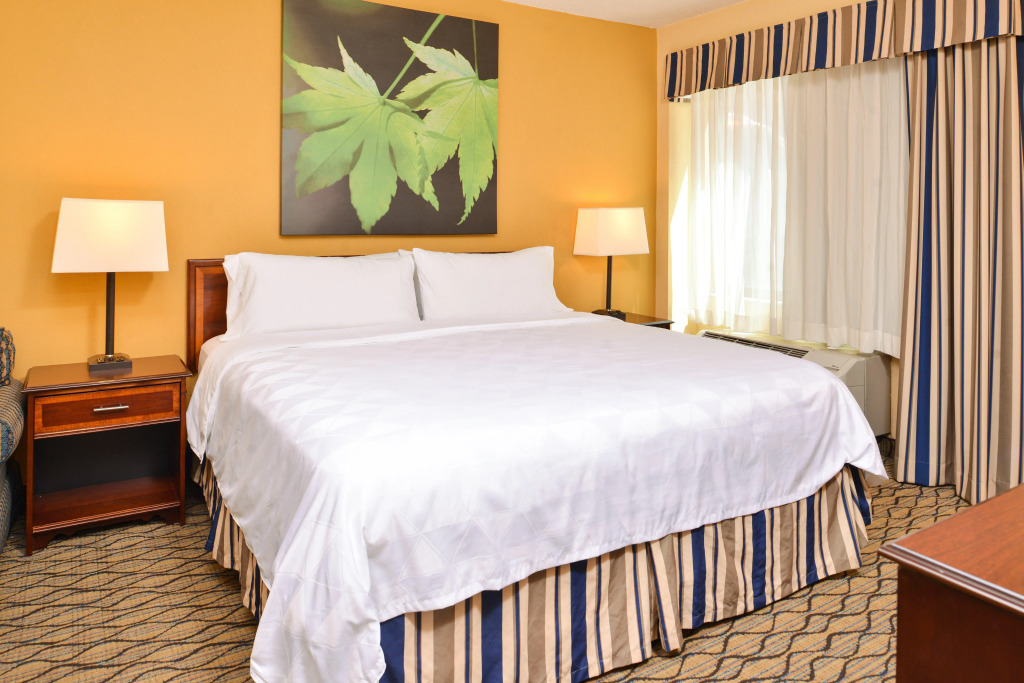 Holiday Inn & Suites Chicago-Downtown by IHG
