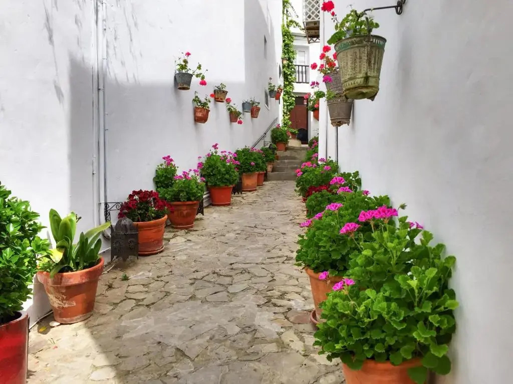 Hotel La Casa del Califa