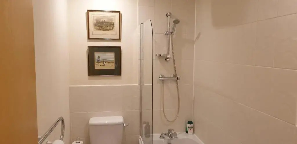 Elite luxury apartment