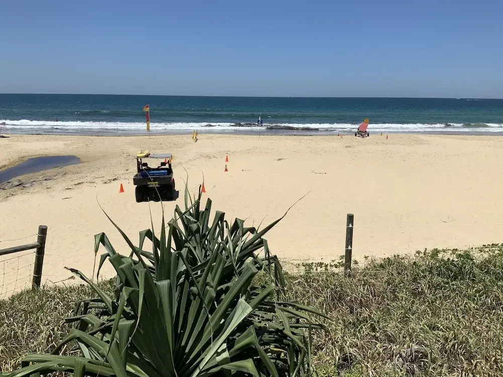 Alex beach resort unit 305