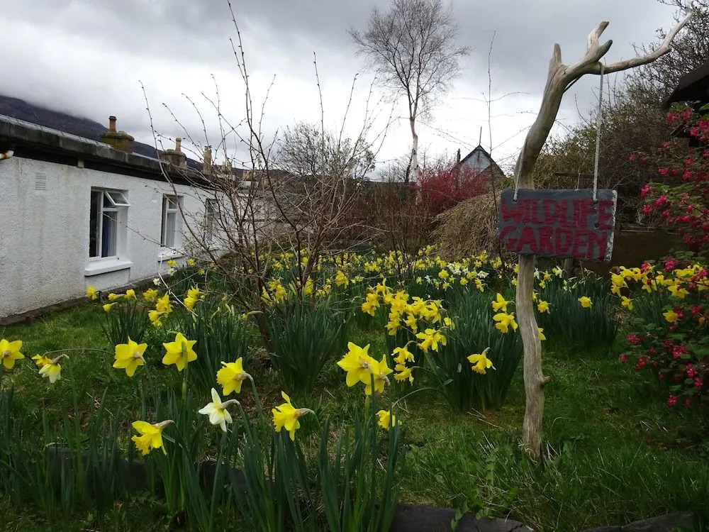 Ullapool Youth Hostel