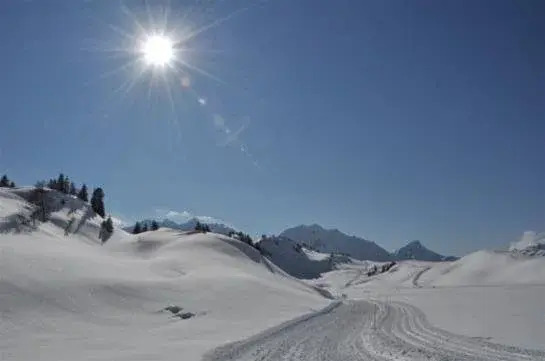 Alpenapart Arlberg