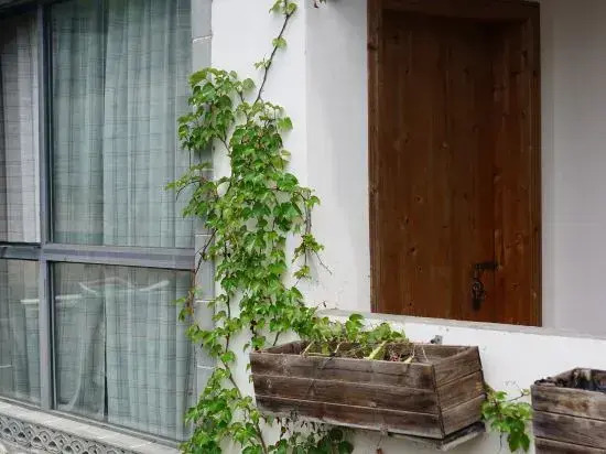 Jixi Longchuan Old House Hostel