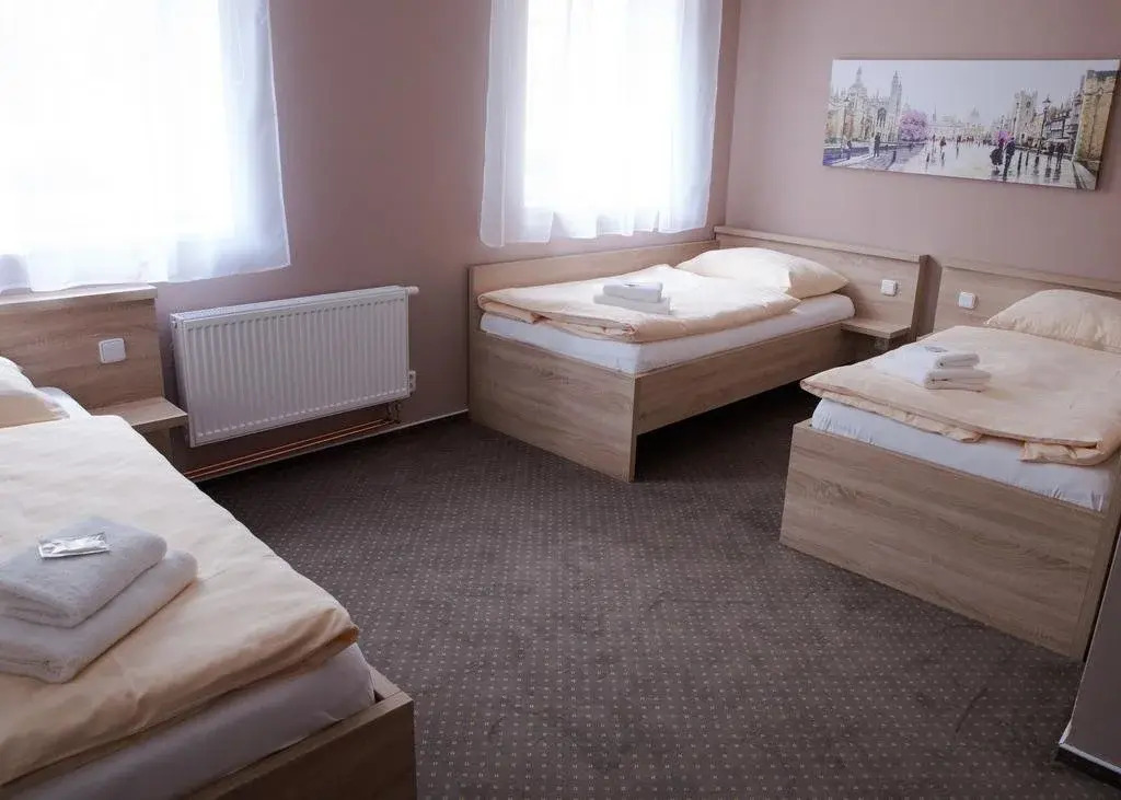 Hotel Garni Orlova
