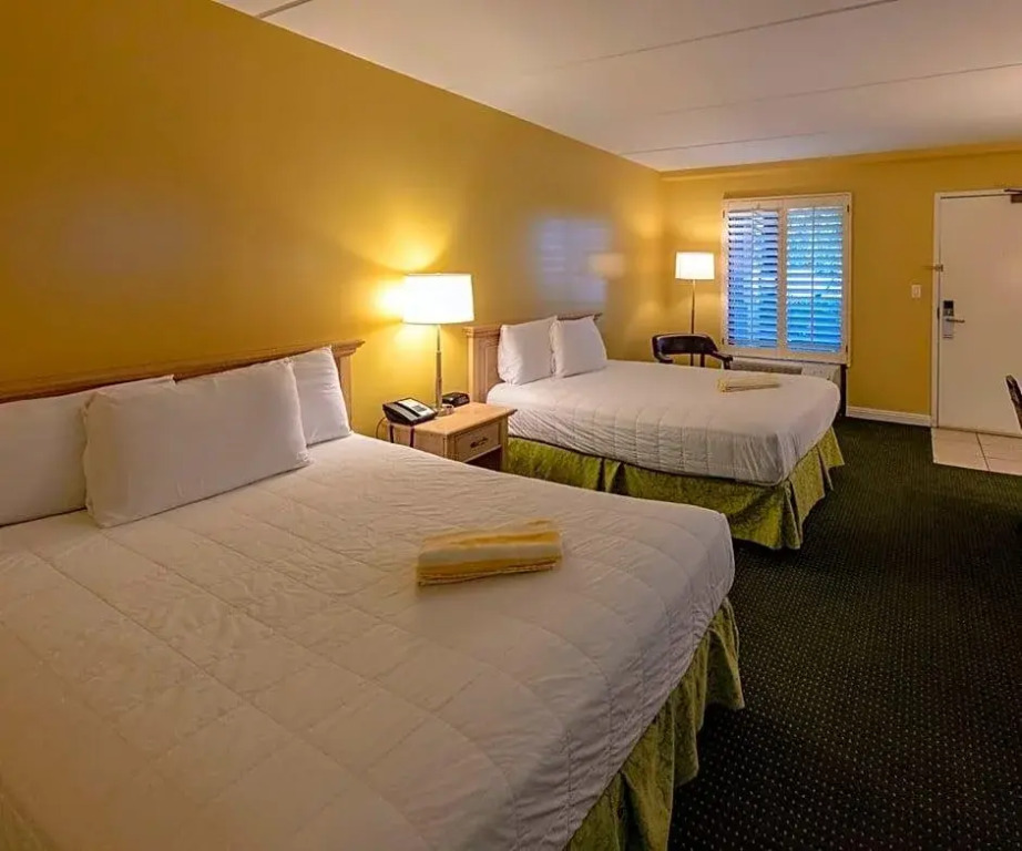 L3 Oasis Hotel