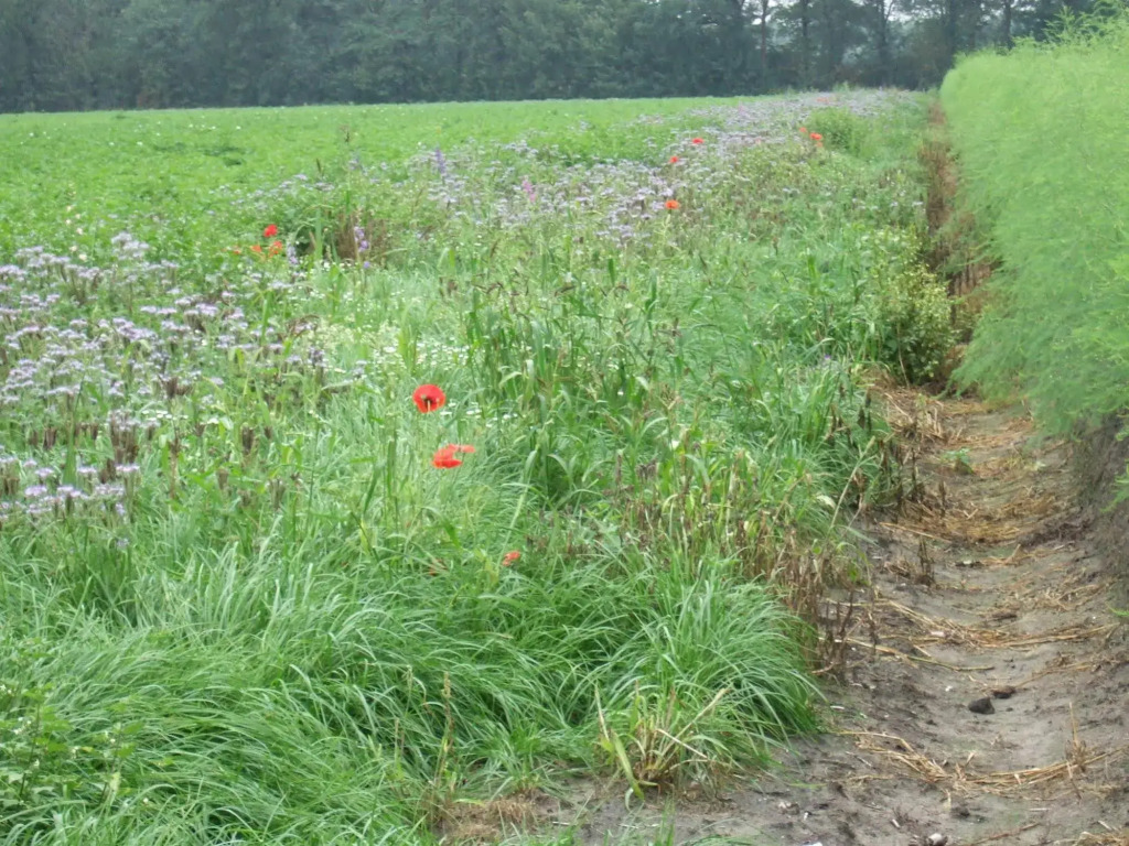 Erfgoed & Logies Den Heijkant