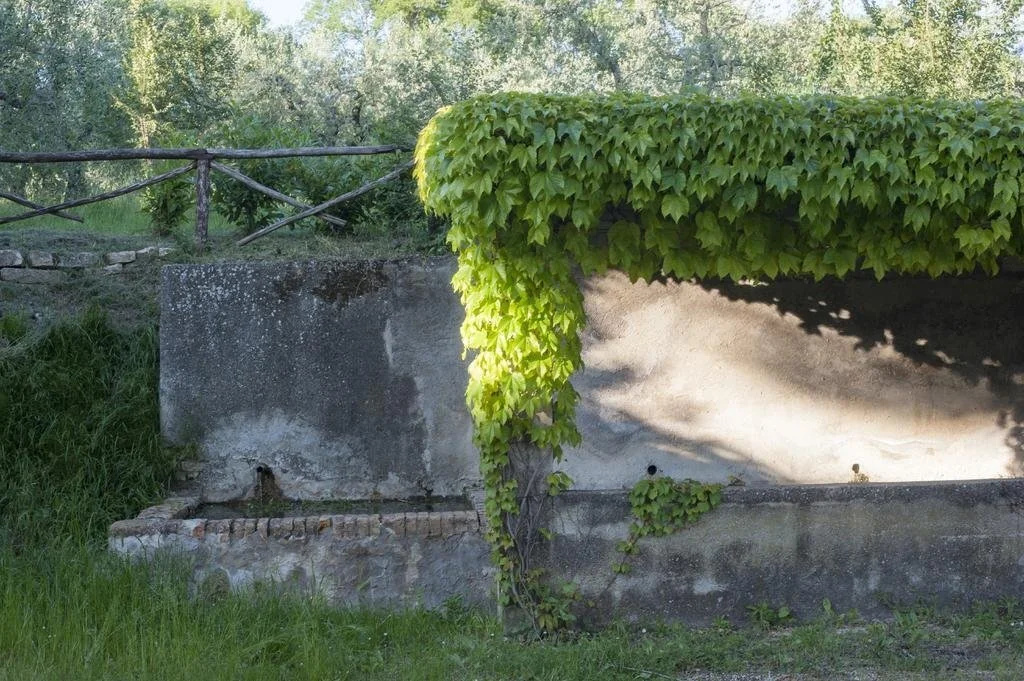 Fonte Sala