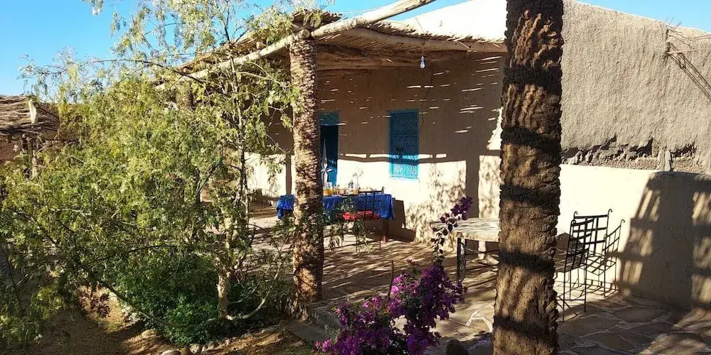 Dar Oasis Moringa