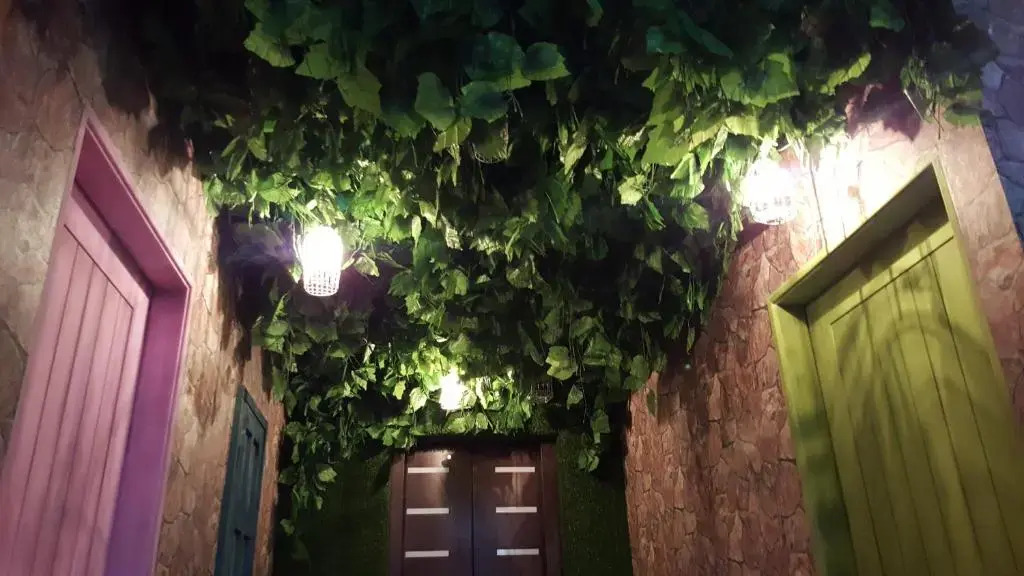 Alice Wonderland B&B