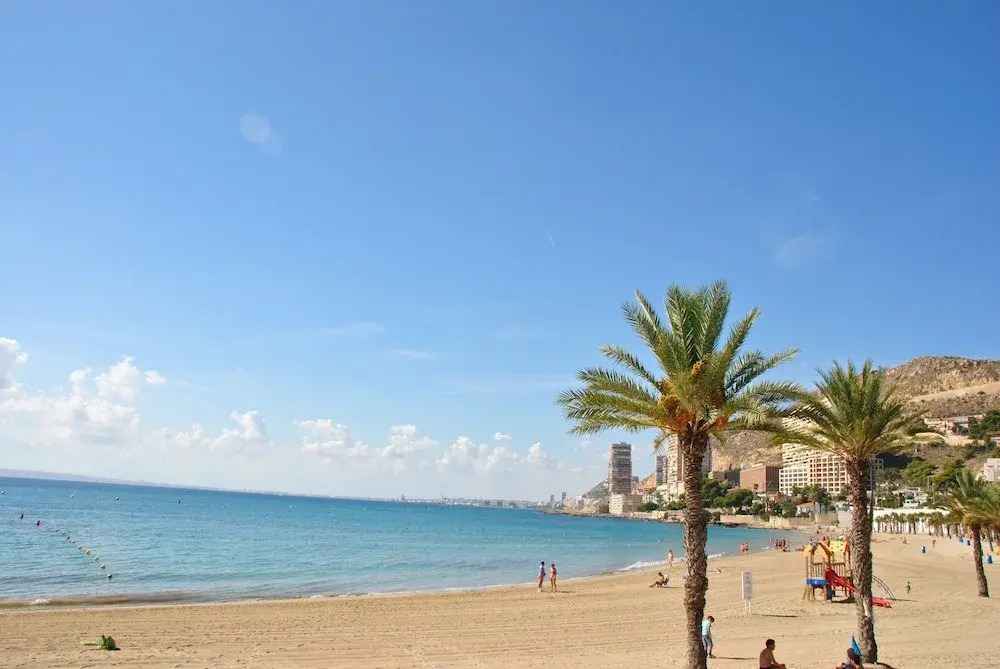 Absolute Beachfront