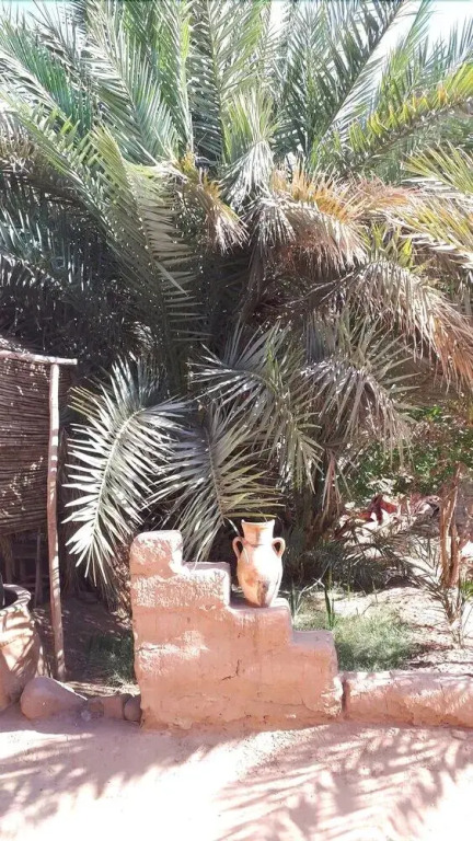 Auberge la Palmeraie