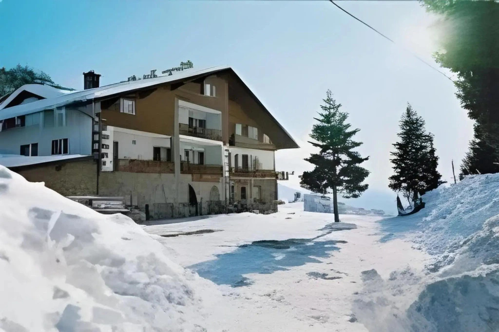 Hotel Des Alpes