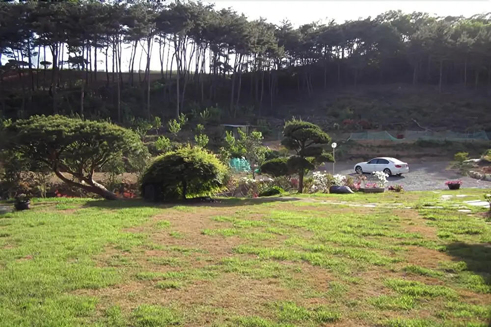 Seosan Pinehealing Pension