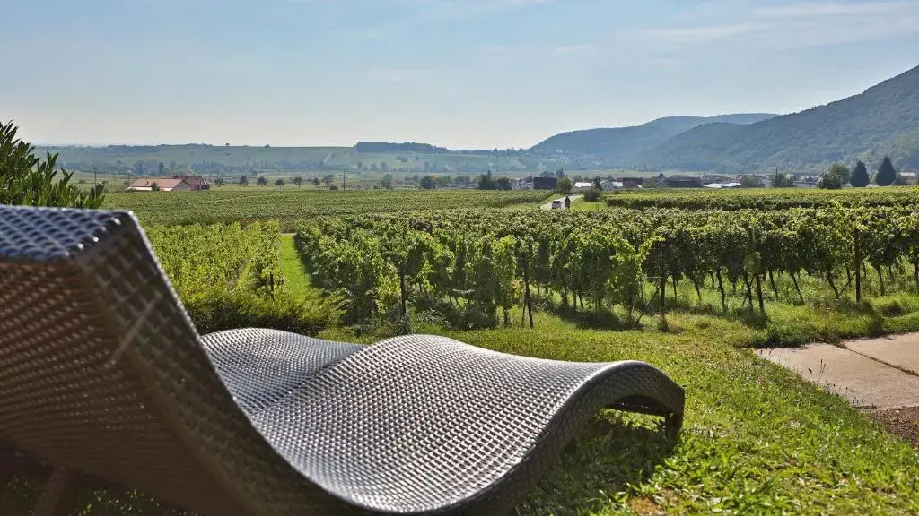 Hotel Leinsweiler Hof