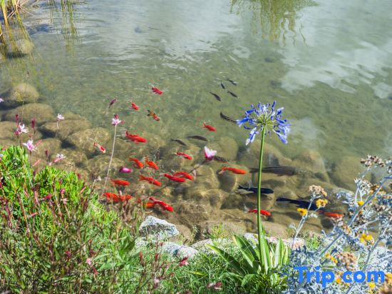 Dali bu wan Wu mu gardn minsu