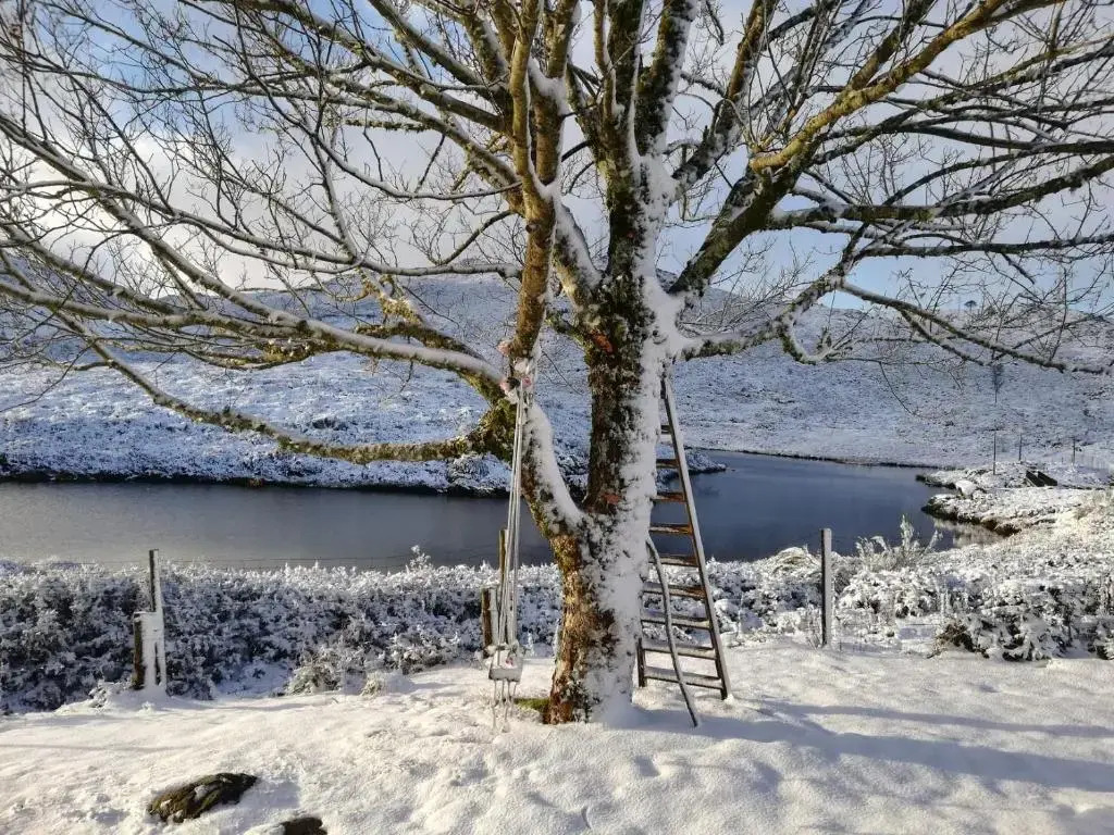 Lago da Garça Guesthouse