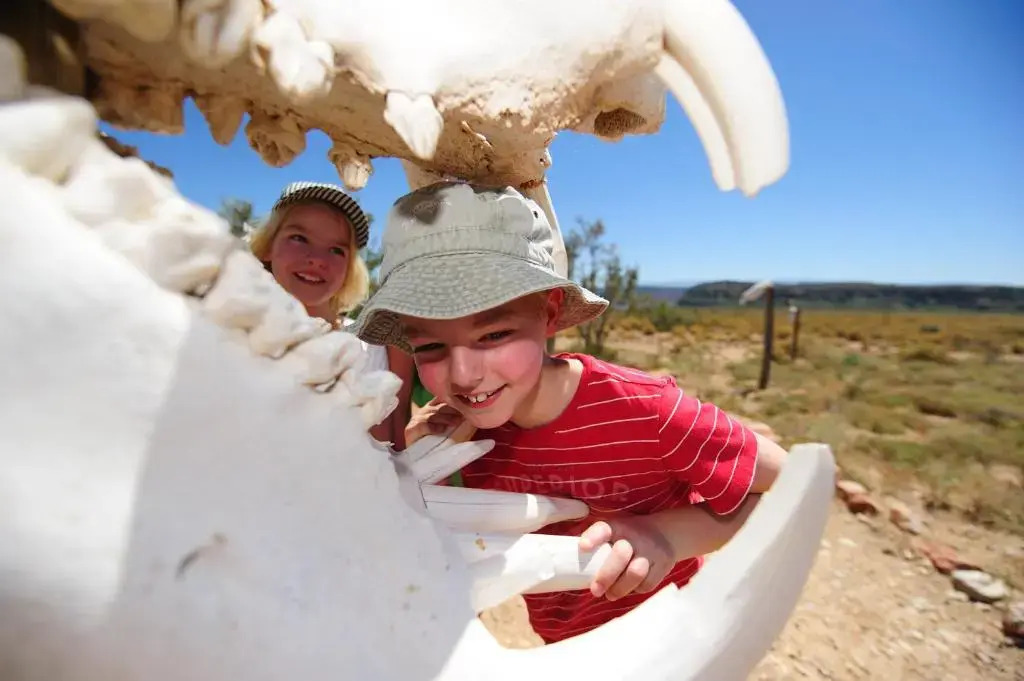 Sanbona Wildlife Reserve