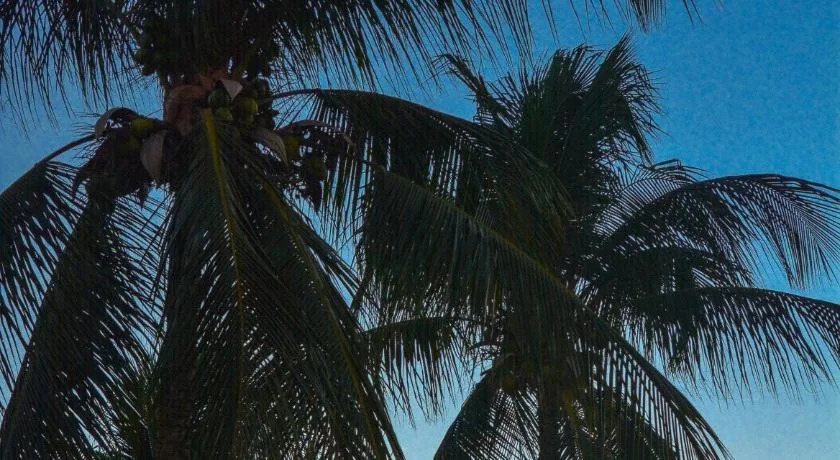 Fiesta Bahiana Club Hotel
