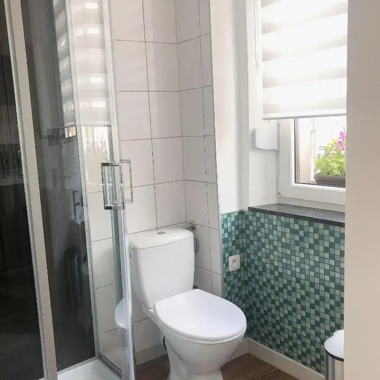 VIP 67
