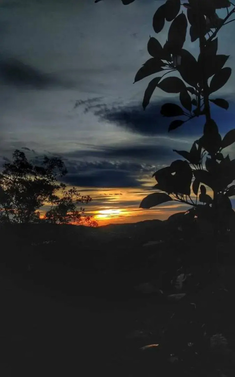 Hillview Inn Cameron Highlands