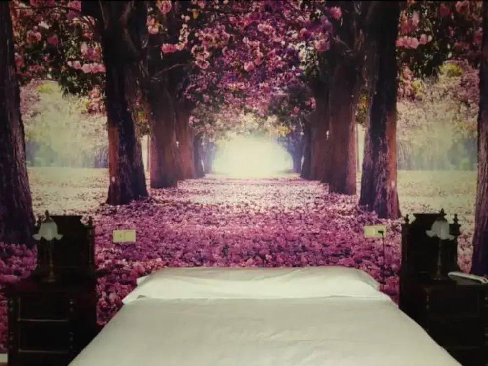 Hotel Rey Sancho IV