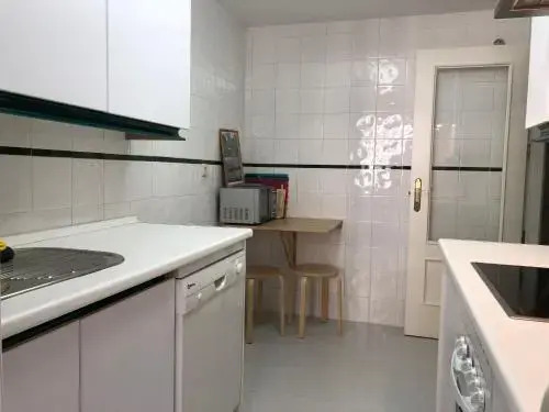 Lovely Puerto Banus Apartment