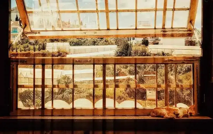 The Burrow Dalat