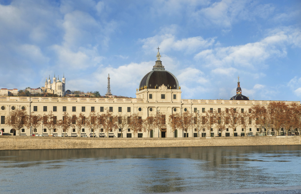 InterContinental Lyon - Hotel Dieu by IHG