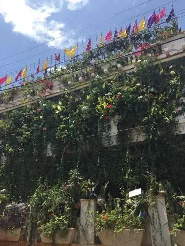 Vertical Garden Hostel