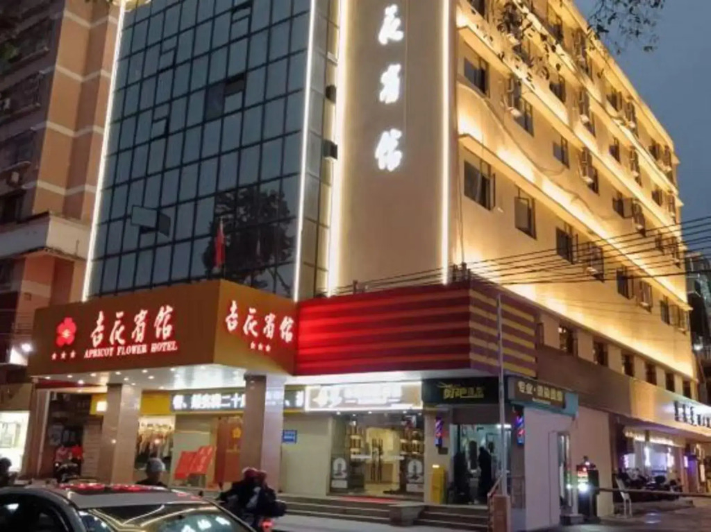 Apricot Flower Hotel