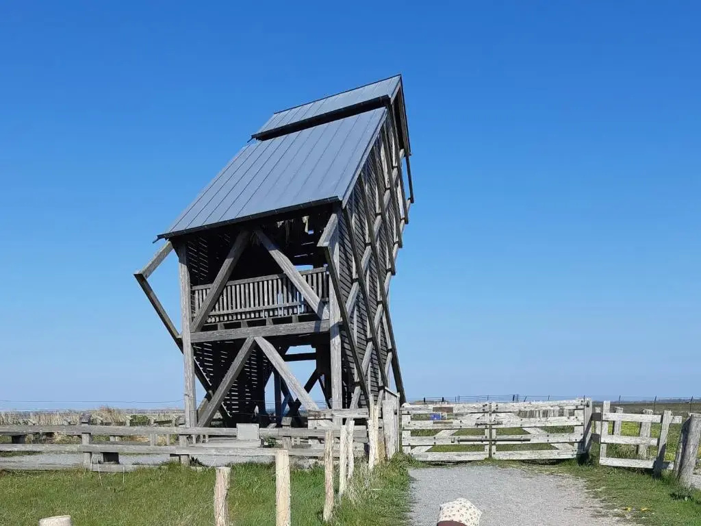 Ostsee Meerkieker Ferienwohnungen 1