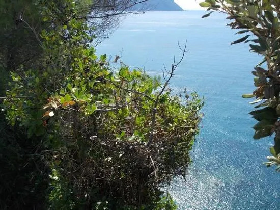 Apartment Da Pupetta