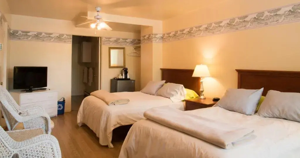 Les Suites de L'Anse