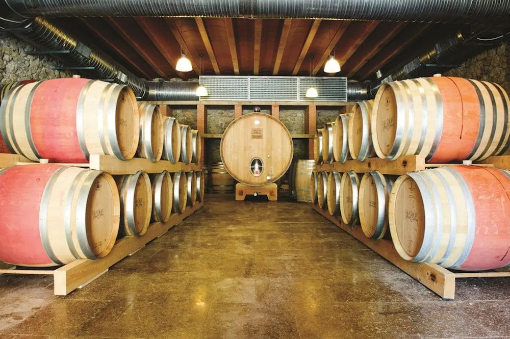 Château Haut Gléon