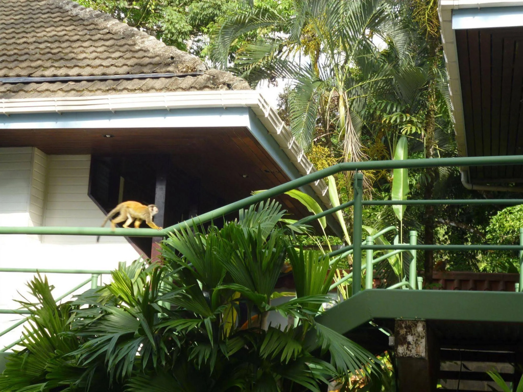 Hotel Mandarina
