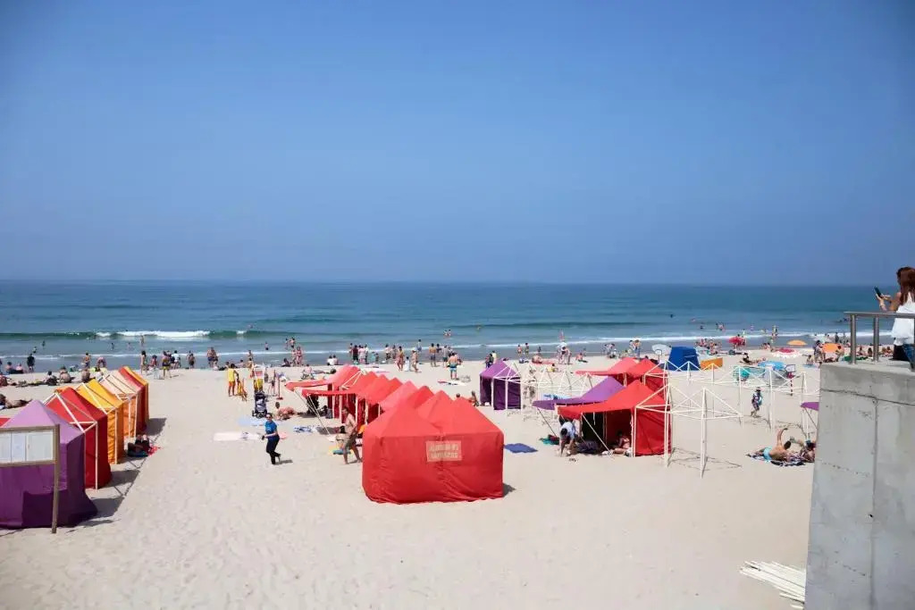 The Spot Ofir