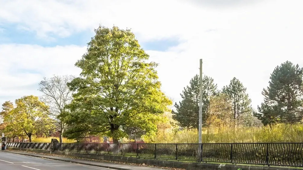 Beautiful 2 bed Apartment (Sleeps 5)