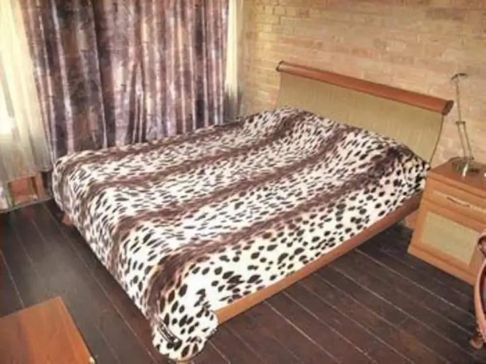 Mikhaylivska Antique Kiev Apartment