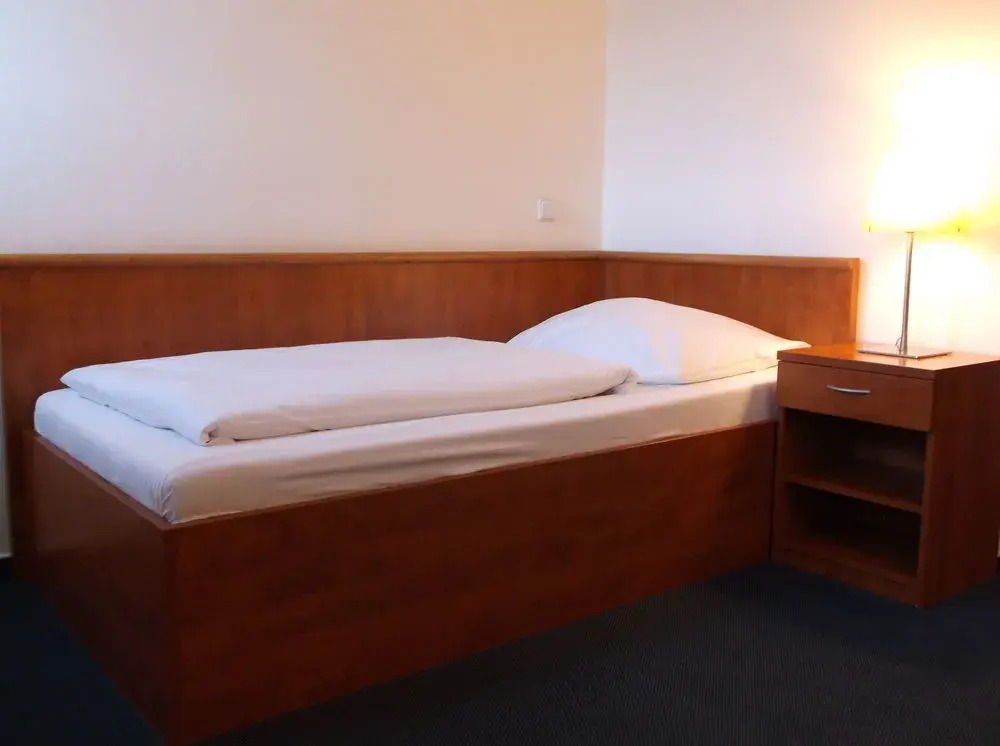 Hotel Lev