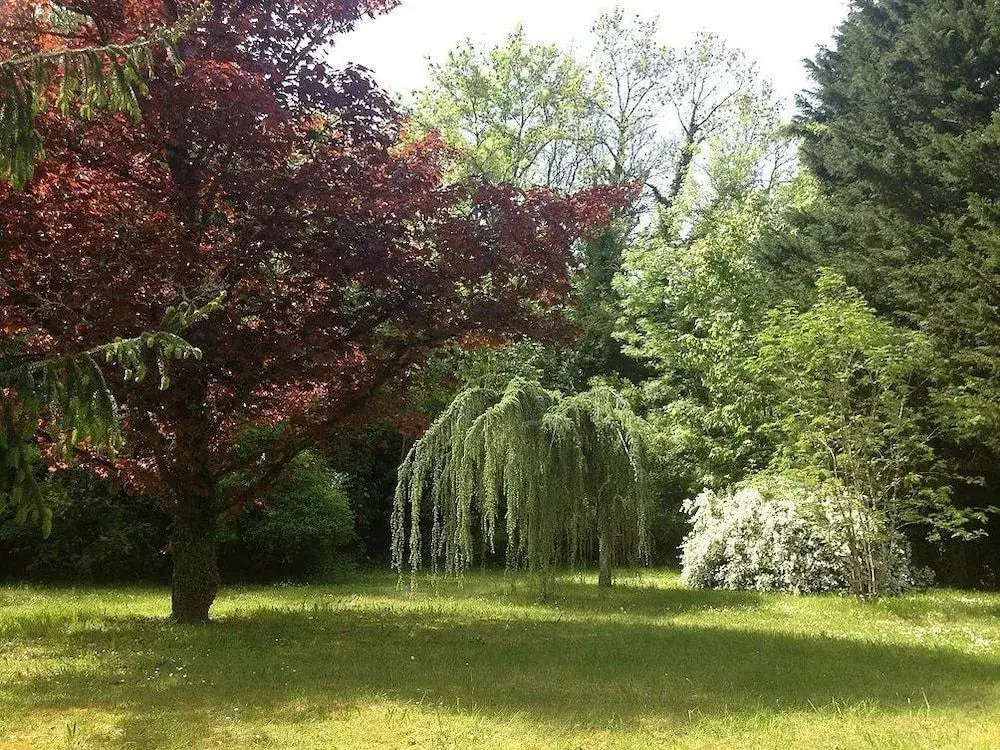 Domaine des Douves